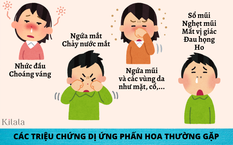 Dị ứng phấn hoa là gì Dị ứng phấn hoa là gì